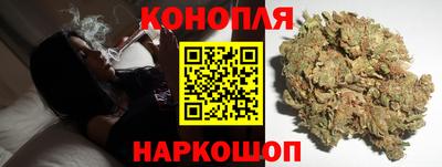 сатива Бузулук
