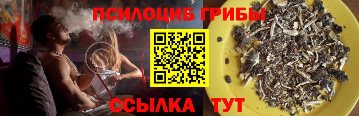 Галлюциногенные грибы ЛСД  Вход с VPN  Муром 